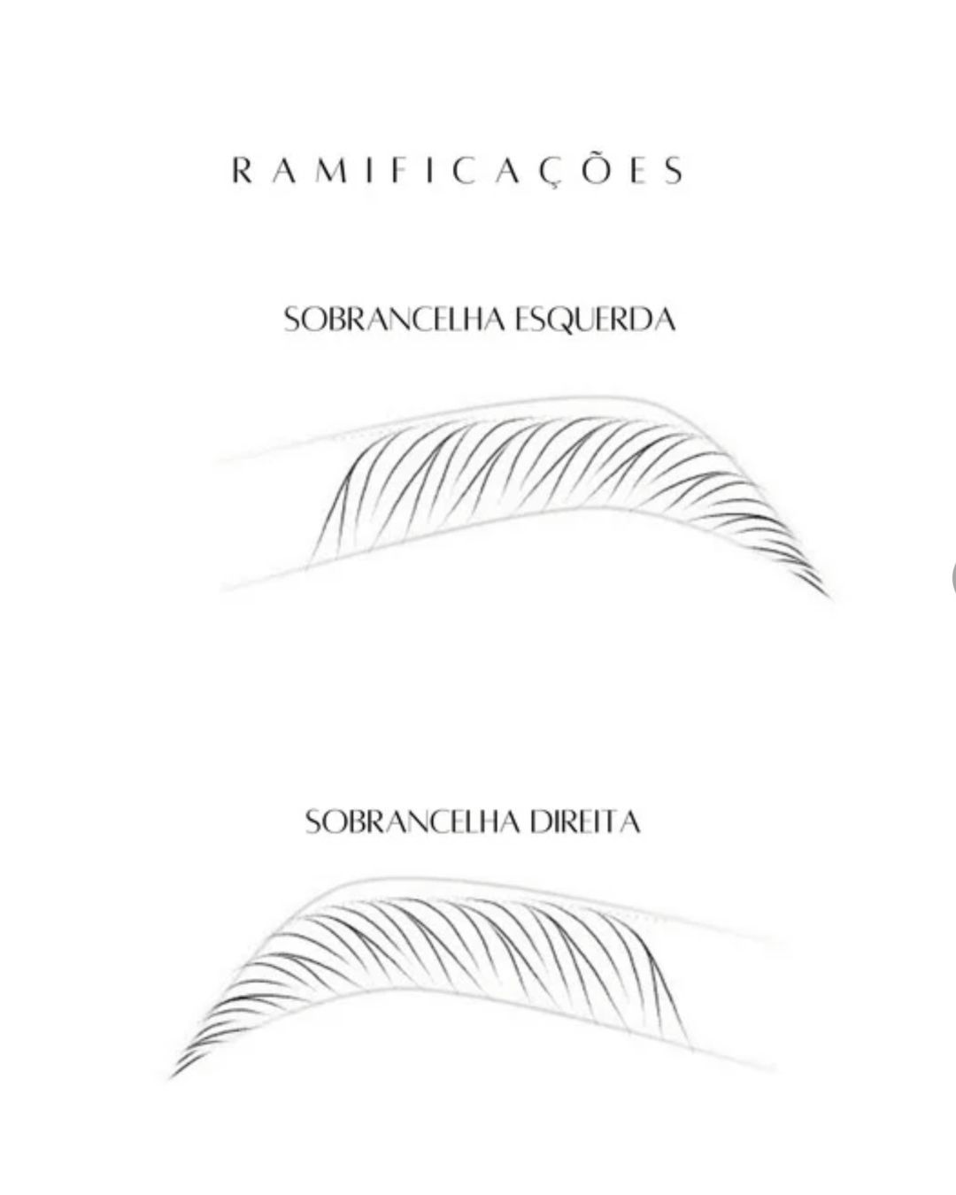 Sobrancelha com tecnica de nanofios em tela